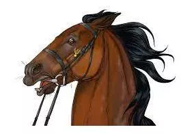 Unbridled meaning