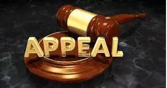 Appeal meaning