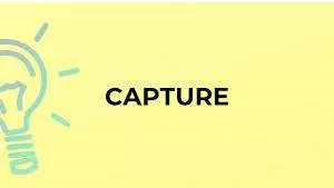 Capture meaning