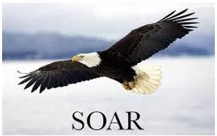 Soar meaning