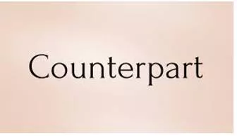 Counterpart - A person or thing that has the same position or function as somebody/something else in a different place or situation.
