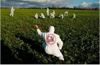 That it has taken so long for india’s farmers to plant a genetically modified food crop shows an approach that is neither scientific nor swadeshi