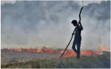 Bad air  again  delhi and punjab govts must keep their ear to the ground  develop alternatives to stubble burning