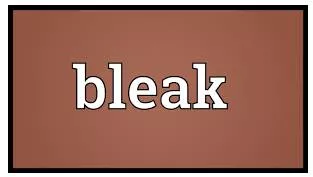 Bleak meaning