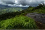 A chance to expand the world’s biosphere footprint	