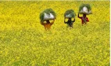 Seeds of hope