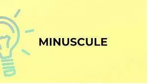 Minuscule meaning