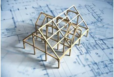 Architecture  the profession  needs strengthening