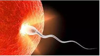 Conception - An understanding or a belief of what something/somebody is or what something/somebody should be.