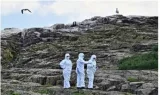 Bird flu is a huge problem now – but we’re just one mutation away from it getting much worse
