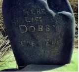 Here lies dobby