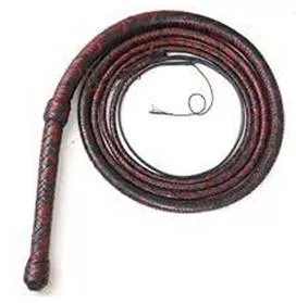 Bullwhip  - A long leather whip