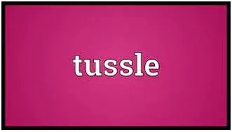 Tussle meaning
