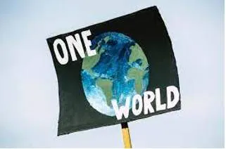 Cop 27  india’s net zero strategy lays out the challenge before it  and the world