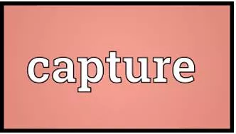 Capture meaning