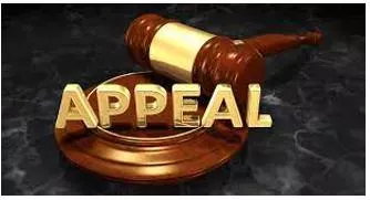 Appeal meaning
