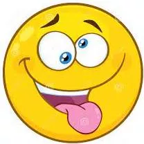 Lunacy - Behaviour that is stupid or crazy.