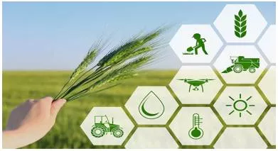 Why india needs timely and reliable data on crop production