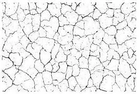 Crackle meaning