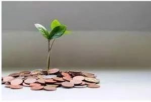Wherewithal - The money, things or skill that you need in order to be able to do something.