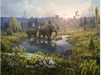 A 2 million year old eden discovered