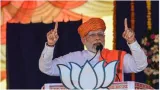 Bjp could have taken its dominance in gujarat for granted  it didn’t — and scripted the latest win