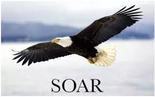 Soar  - To rise quickly and smoothly up into the air.