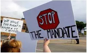 Mandate meaning