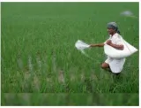 The cost of india’s subsidy spike