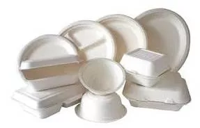 Disposable - Available for use.