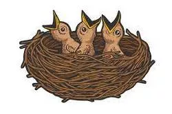 Nestling - A bird that is too young to leave the nest.