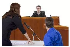 Litigant meaning