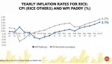 World is worried about india banning rice exports  but no threat to food security yet