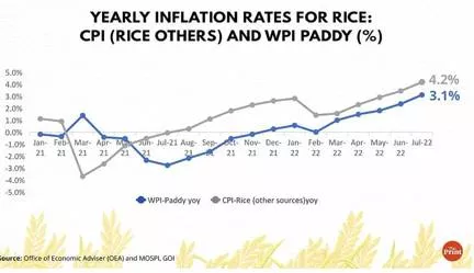 World is worried about india banning rice exports  but no threat to food security yet