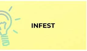 Infested meaning