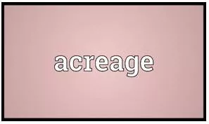 Acreage meaning