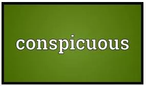Conspicuous meaning