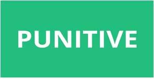 Punitive meaning