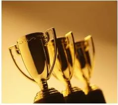 Accolades  - Praise or an award for an achievement that people admire.