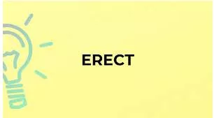 Erect meaning