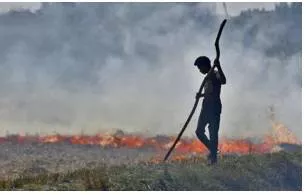 Bad air  again  delhi and punjab govts must keep their ear to the ground  develop alternatives to stubble burning