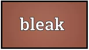 Bleak meaning
