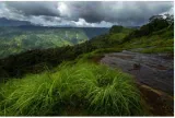 A chance to expand the world’s biosphere footprint