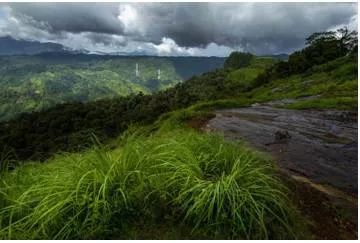 A chance to expand the world’s biosphere footprint