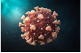 Virus alert  govt efforts to battle another covid wave meaningless in absence of citizens’ support