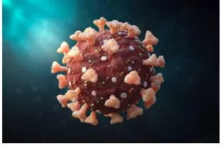 Virus alert  govt efforts to battle another covid wave meaningless in absence of citizens’ support