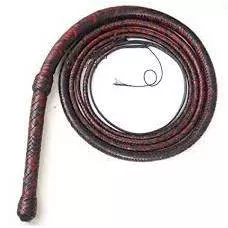 Bullwhip  - A long leather whip.