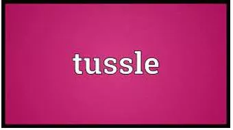 Tussle  - A short struggle, fight or argument especially in order to get something.