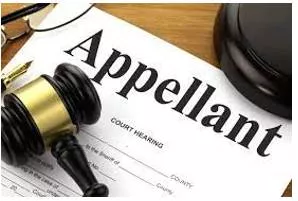 Appellant  - A person who appeals against a decision made in court.