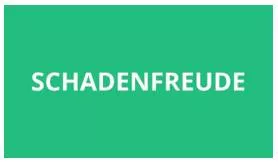 Schadenfreude  - A feeling of pleasure at the bad things that happen to other people.